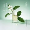 茶香师花茶香水系列： 茉莉茶香/腊梅白茶/素兰观音30ml 商品缩略图0