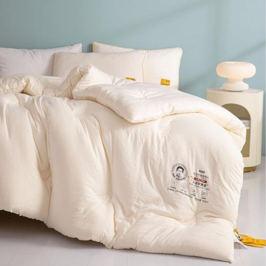 A类李官奇大豆纤维被子母被双人被子加厚冬被宿舍春秋被礼品被 商品图2