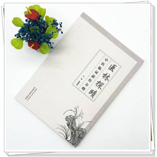 医林探赜:中医临证薪传方略 陈霞波 主编  师传心悟 临证解惑 医案举隅 经验方集 中国中医药出版社 70余首临床常用方剂 商品图1