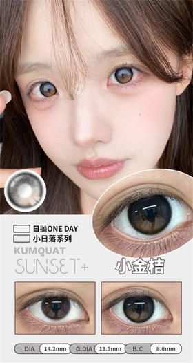 BarieCat 小金桔 日抛直径14.2mm日常美瞳 灰色  10片/盒