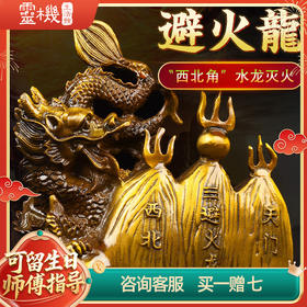 【祈愿吉品】水龙御江河黄铜避火龙摆件厨房西北角