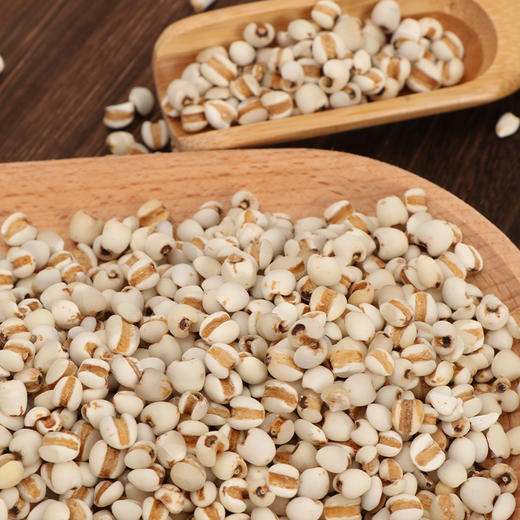 【产地直发包邮】正耕—有机薏仁米 商品图3