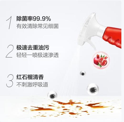 香港斧头三件套（除菌除螨洗衣液1kg+柠檬护肤洗洁精1.18kg+厨房重油污净500ml） 商品图5