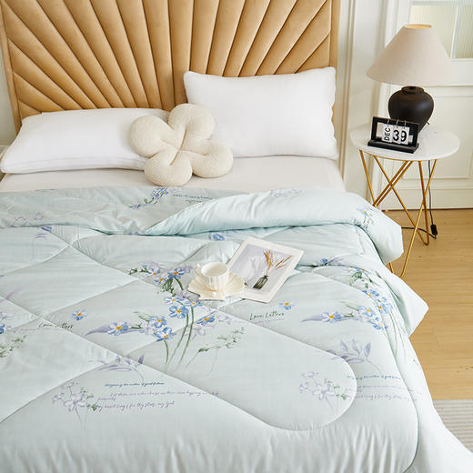 彼加曼 熏衣草大豆暖肤被200*230cm BGM-BX241 商品图2