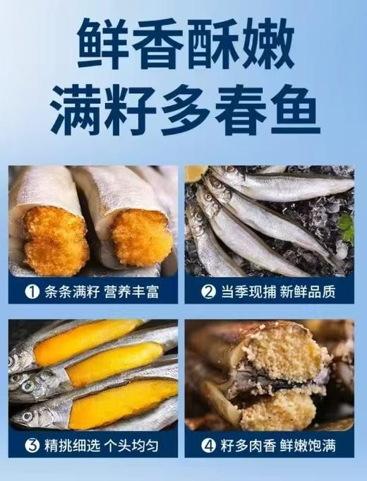 【加拿大多春鱼】 5斤装/箱  顺丰包邮 商品图2