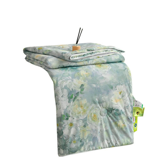 Southlife南方生活 凉感丝夏凉被荷塘月色200*230cm NFWC--08BZ010 商品图0