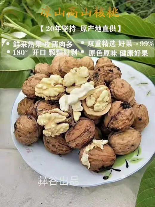 雷波核桃500g（干） 商品图0