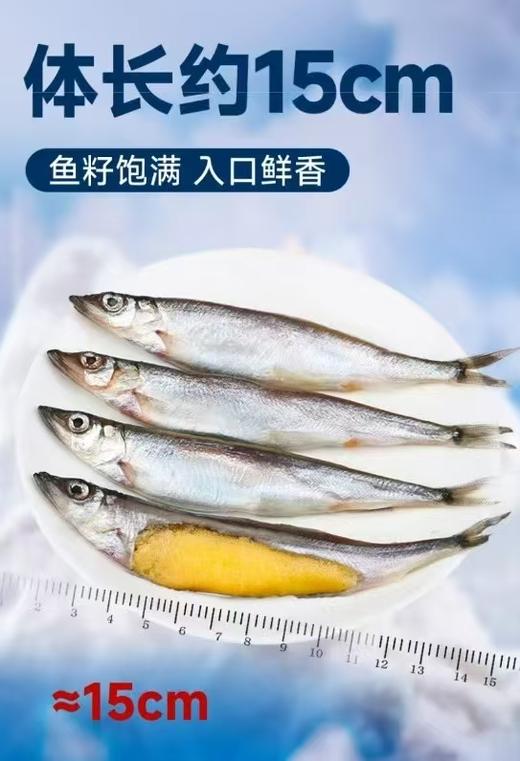【加拿大多春鱼】 5斤装/箱  顺丰包邮 商品图3