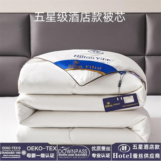 希尔顿酒店棉被蚕丝棉空调被春秋被加厚冬被被芯民宿礼品被子新款新品 商品图0