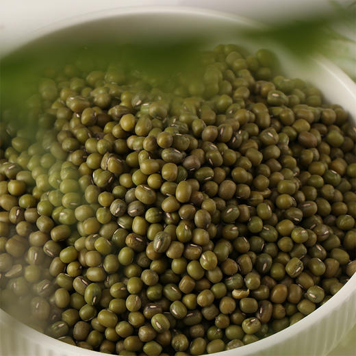 【产地直发包邮】正耕—有机绿豆 商品图3