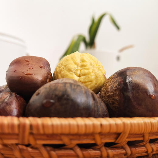 【迁西鲜板栗】迁西板栗-来自深山处的板栗，鲜板栗被誉为“千果之王”，营养丰富，果仁饱满，粉糯美味 商品图0