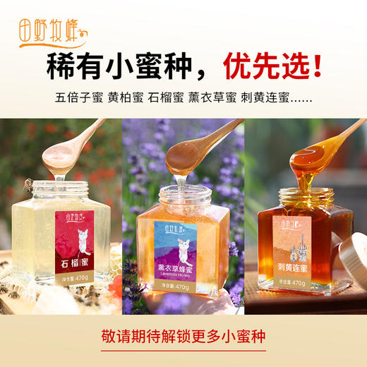 田野牧蜂【年卡蜂蜜月月鲜】全年20瓶每季不同 应季发送 优先畅享小蜜种 金奖品质 商品图3