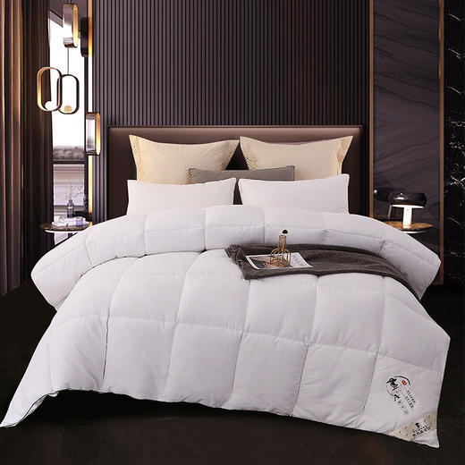 啄木鸟(PLOVER) 抗菌美肤被 ZMN-DB002 商品图4