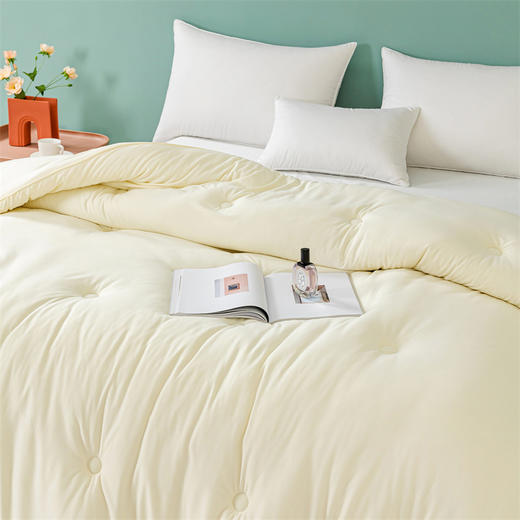 PLOVER啄木鸟 玉米糯糯被200*230cm/2.9KG ZMN-DB005 商品图3
