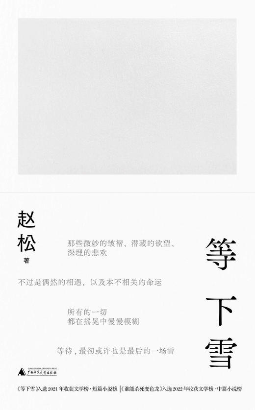 等下雪 赵松/著 赵松、收获文学榜、抚顺故事集、你们去荒野、积木书、广西师范大学出版社 商品图3