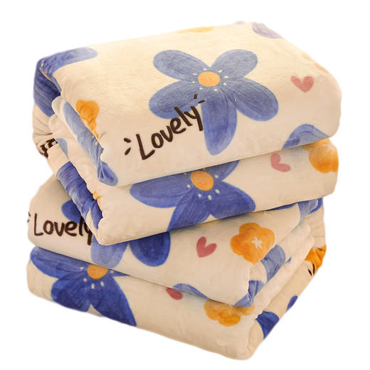 俞兆林 法莱绒印花毛毯2米梦幻花田 YZL-24093 商品图0