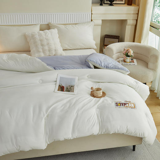 彼加曼 无印云感棉大豆被200*230cm BGM-B2556 商品图3