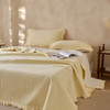 【牛奶绒床盖】牛奶绒床盖三件套秋冬保暖床单纯色绒布毯子床盖枕套 商品缩略图7