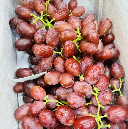 【云南克伦生无籽红提小糖豆】果粉足，超新鲜，嘎嘣脆～一口爆汁。又漂亮又好吃，大补 商品图5