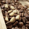 🌰东北 · 长白山 · 开口松子/榛子 商品缩略图1