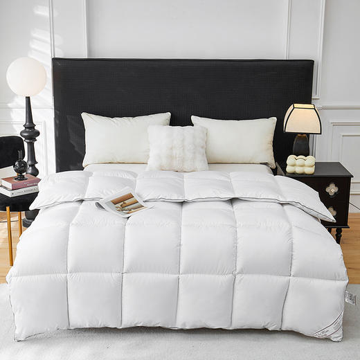 彼加曼 冰岛纳米锁暖羽丝绒被200*230cm BGM-B2557 商品图4