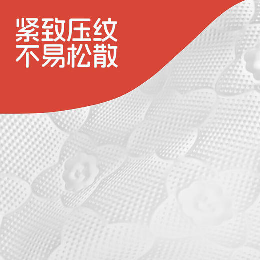 蓝漂 白色气垫挂式抽纸4层1000张*5提 LPBSC-5TR 商品图2