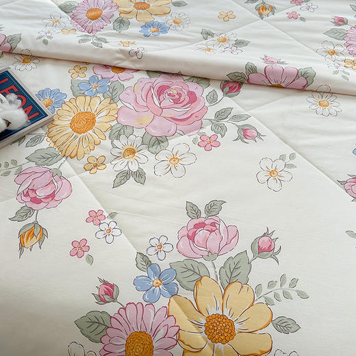 里外全棉印花夏被 可水洗新疆棉花夏凉被 商品图4