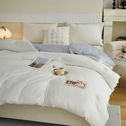 彼加曼 无印云感棉大豆被200*230cm BGM-B2555 商品图3