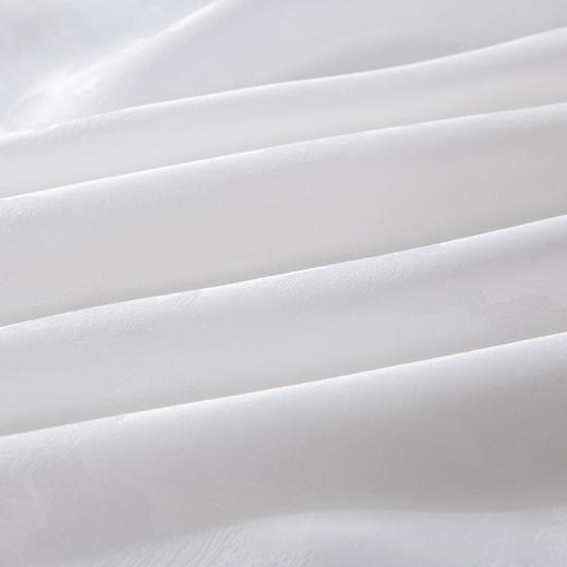 俞兆林 贡缎蚕丝四季被2米 YZL-24112 商品图2