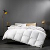 彼加曼 希伯莱尊贵羽绒被200*230cm BGM-B9216 商品缩略图3