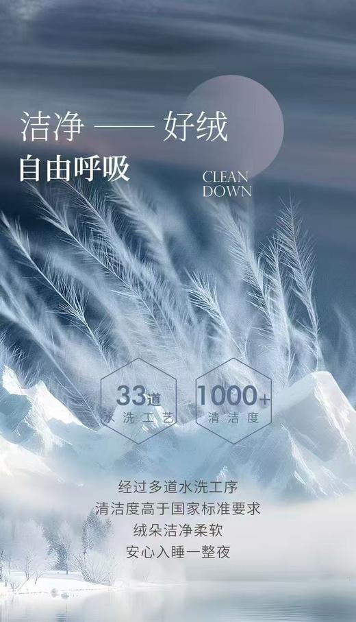 【富安娜】B座7F A类抗菌鹅绒被·富有安康（送2000元线下无门槛券！） 商品图3