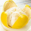 严选 | 爆汁黄金葡萄柚 4.5斤/8斤 单果克重300g+ 香甜多汁 商品缩略图3