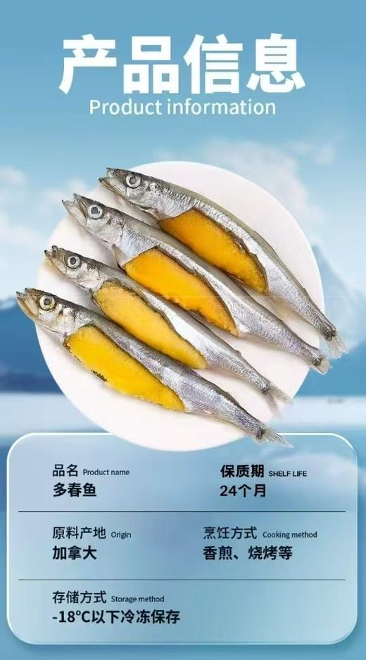【加拿大多春鱼】 5斤装/箱  顺丰包邮 商品图8