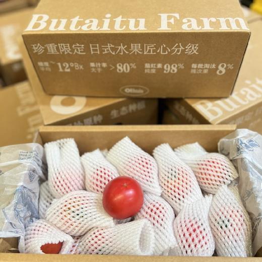 钱袋番茄（一箱3.5斤） 商品图6