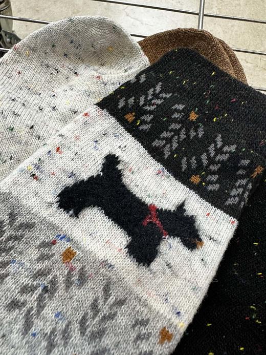 G554秋冬搭配❗️费尔岛围脖小狗袜中筒袜5双装 商品图4