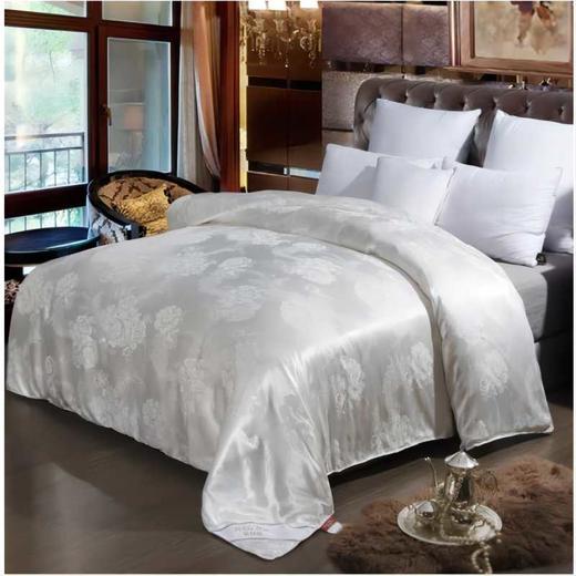 彼加曼 御品提花蚕丝被200*230cm BGM-B1025 商品图4