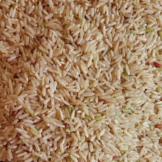 生态胚芽米 5斤装包邮   自然传统农耕 商品图9