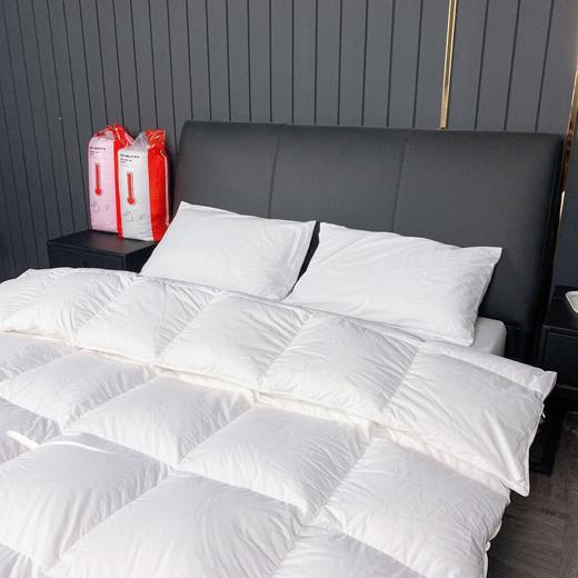 宜家专柜同款！菲亚蕾超暖型羽绒被棉被，尺寸200*230cm 商品图2