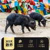 顺丰2斤到手89.9，有机藏香猪 没有经过人工改良的古老畜牧种 高原自然散养 肉质紧实 无腥味膻味 有精美大理石雪花纹理 基地直邮 商品缩略图6