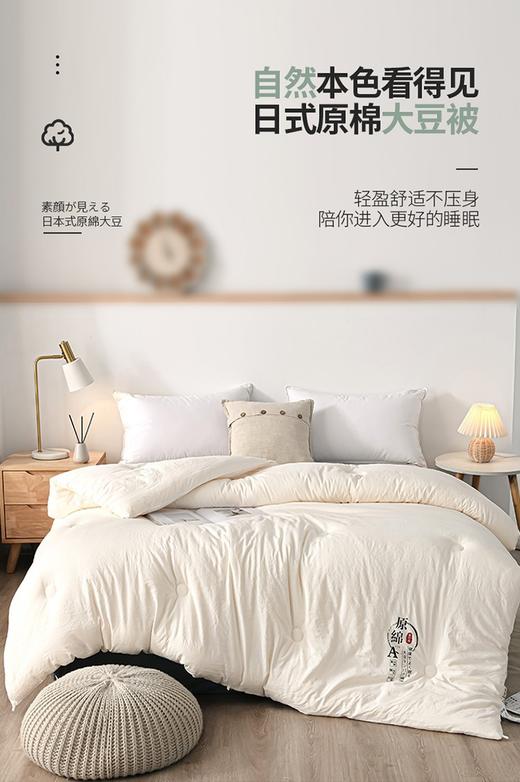 母婴级标准 A类原棉大豆纤维被春秋被宿舍单双人被子活动礼品被保暖加厚冬被 商品图0