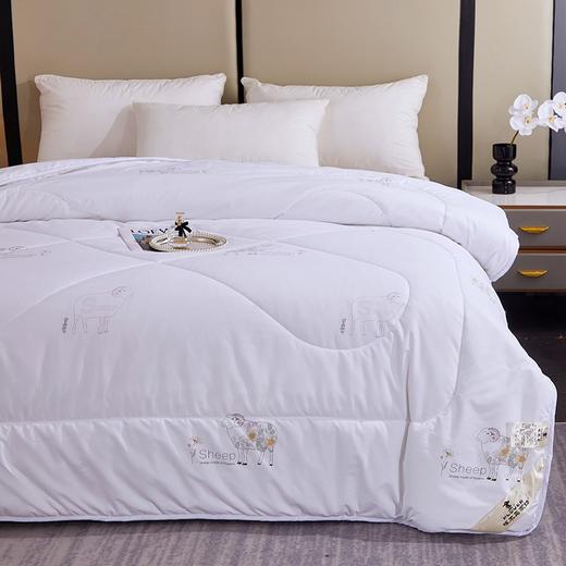 PLOVER啄木鸟 新款羊毛被200*230cm/2.9KG ZMN-DB008 商品图4