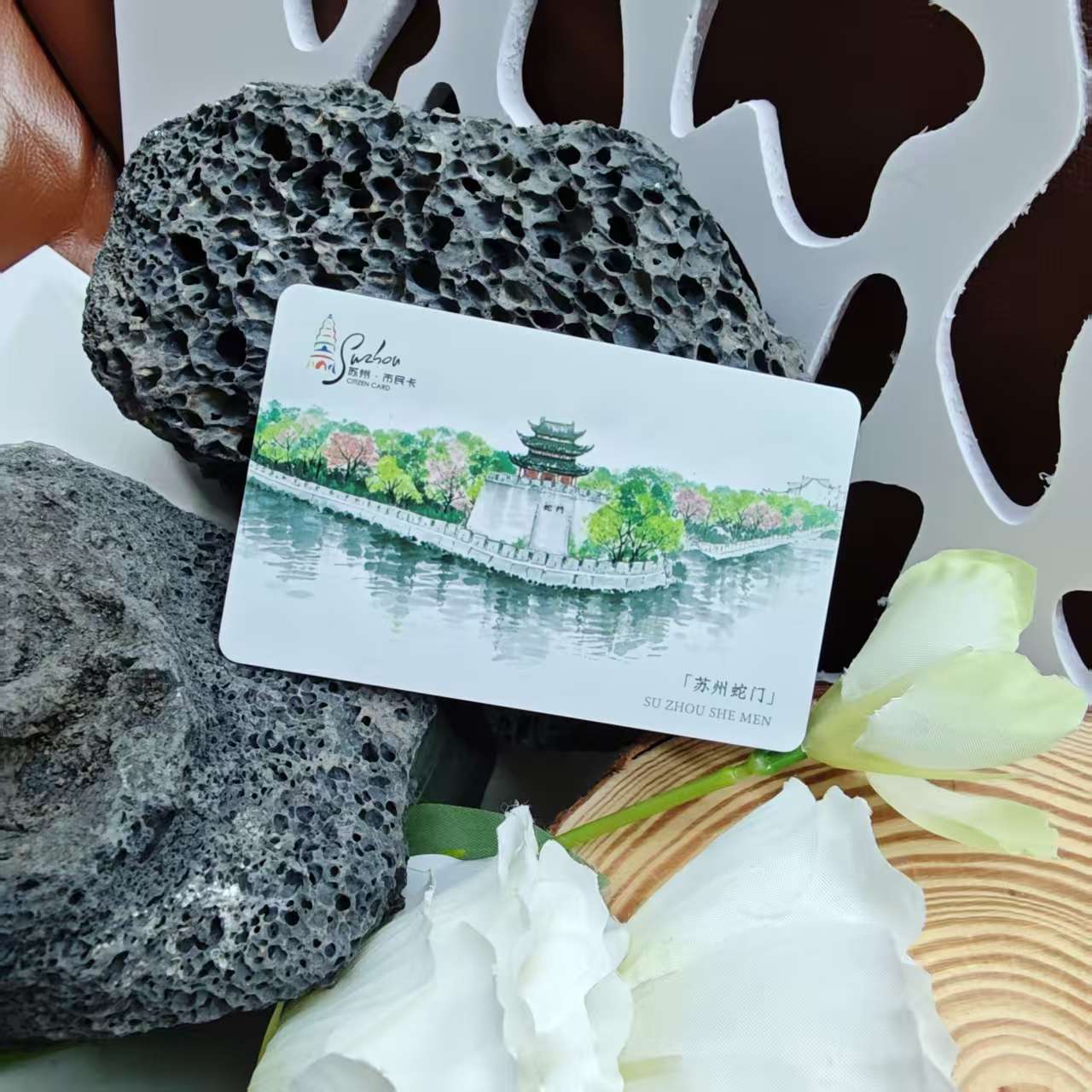 【蛇系列公交卡】灵蛇伴我行