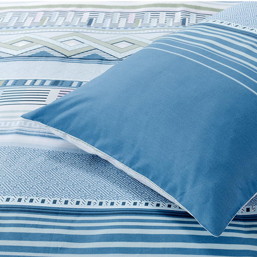 富安娜 磨毛抗菌四件套/漫游天际203*229cm 6916517752360 商品图4