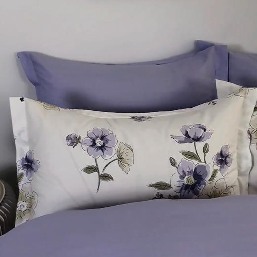 罗曼罗兰 全棉四件套伊芙花语200*230cm 6925314751711 商品图2