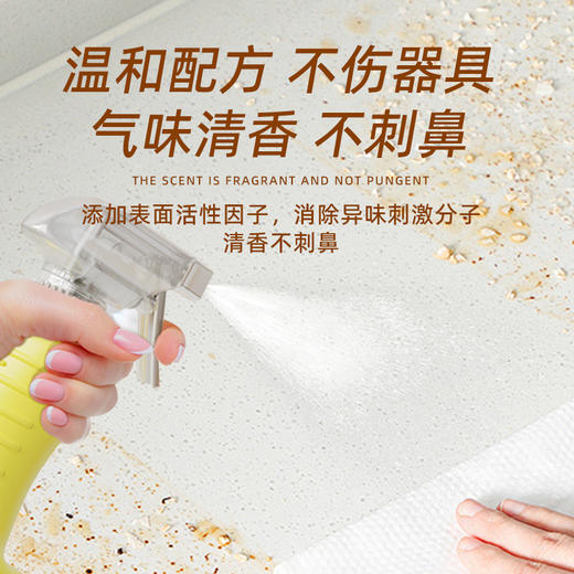 奥克伍德 厨房去油污清洁剂500ml LMOK035 商品图3