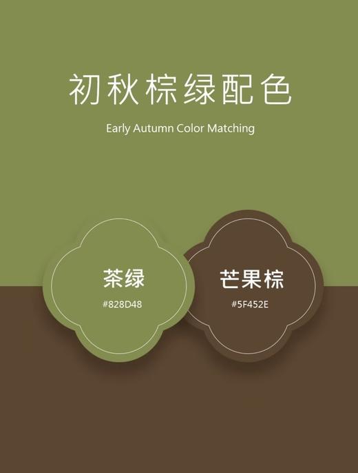 抹茶可可棕三色碰撞条羊毛混纺毛衫 商品图7