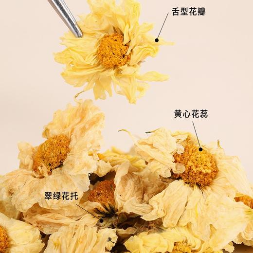 杭白菊--源自浙江桐乡核心产区地理标志产品，天然草本，无添加，老少皆宜，口感还清甜不涩！60g/罐 商品图2