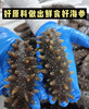 【山东音乐广播专属定制】年底大促 正宗渤海湾秋捕头茬鲜食海参 无需泡发开袋即食 商品缩略图2