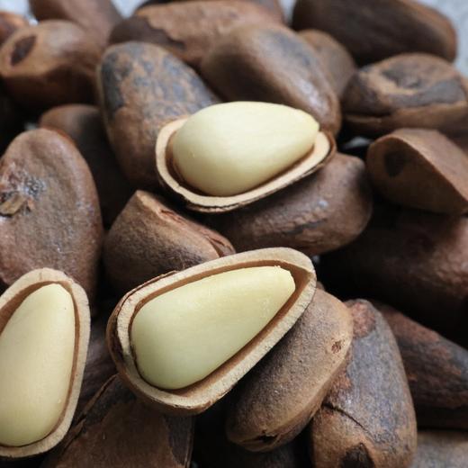 🌰东北 · 长白山 · 开口松子/榛子 商品图0
