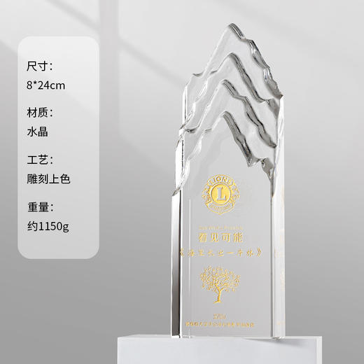 水晶奖杯定制定做创意高档大气优秀员工奖牌公司年会2025新款冠军 商品图7